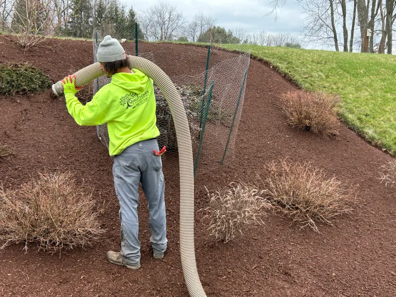 Quality Choice Landscaping project 4