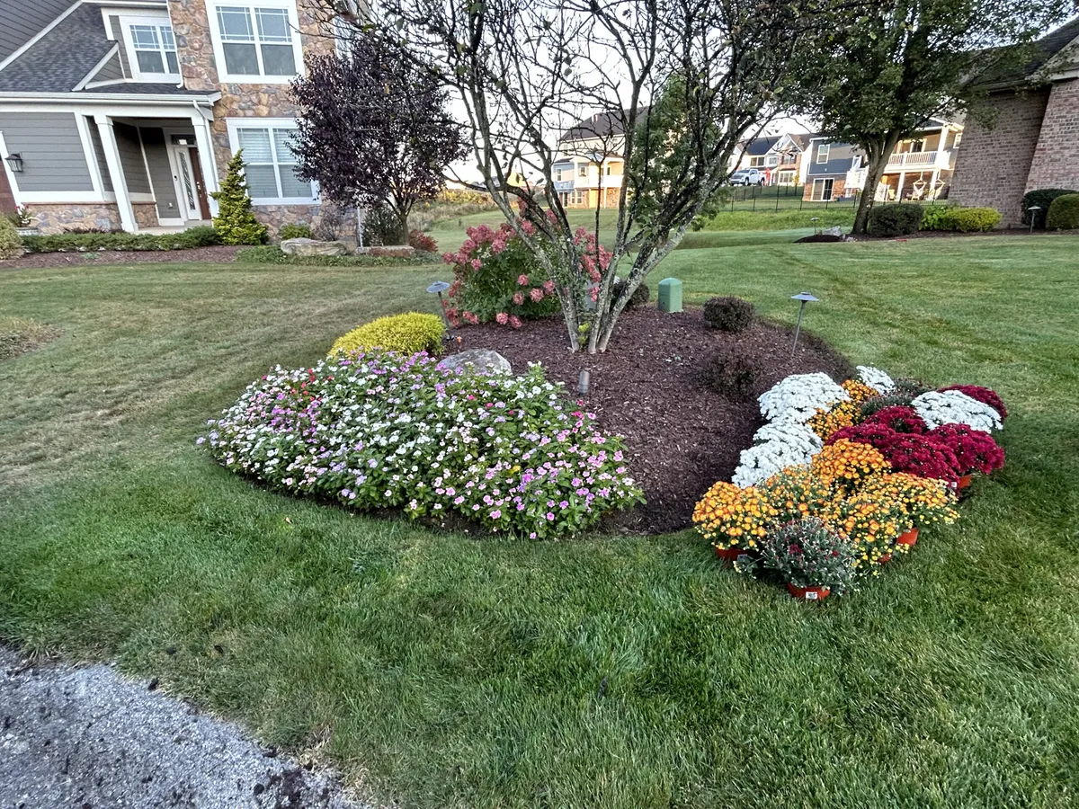 Seasonal Color Planting