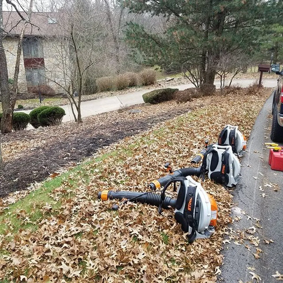 Spring and Fall Clean-ups