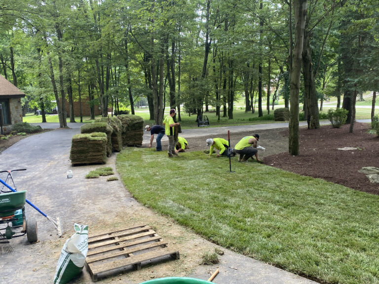 Sod Installation